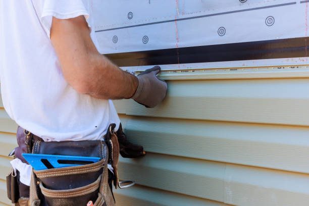 Best Vinyl Siding Installation  in Keaau, HI